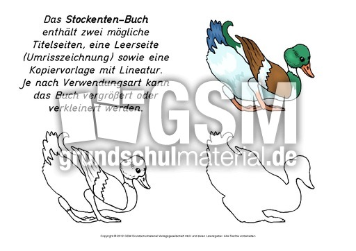 Mini-Buch-Stockente-2.pdf
